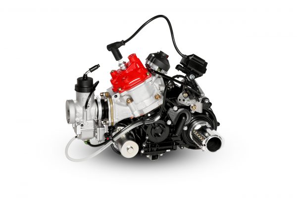 ROTAX 125 DD2 EVO - ENGINE ONLY