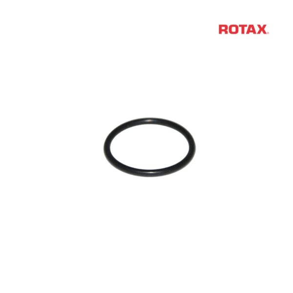 O-RING PLUG